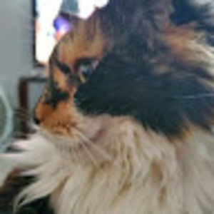 Meet your Posher, Just That Guy